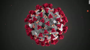 Updated Coronavirus Information